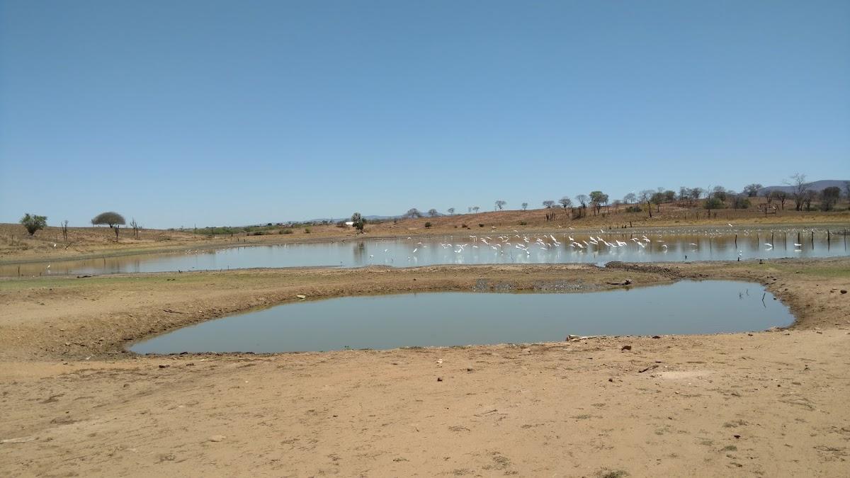 Registro de Marca Caturama