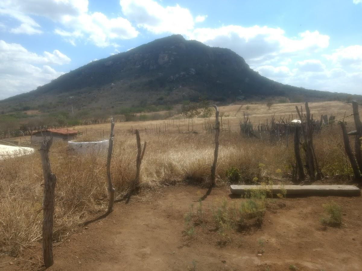 Registro de Marca Caturité