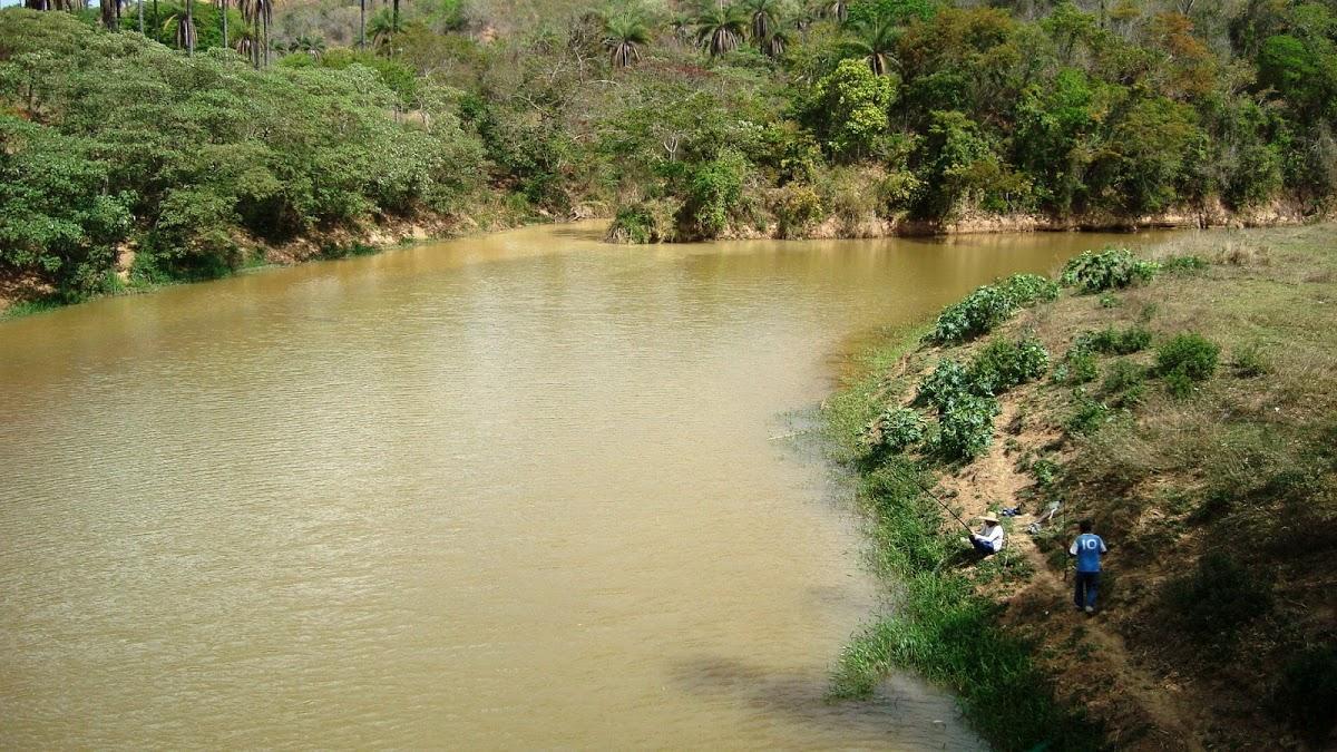 Registro de Marca Cedro do Abaeté