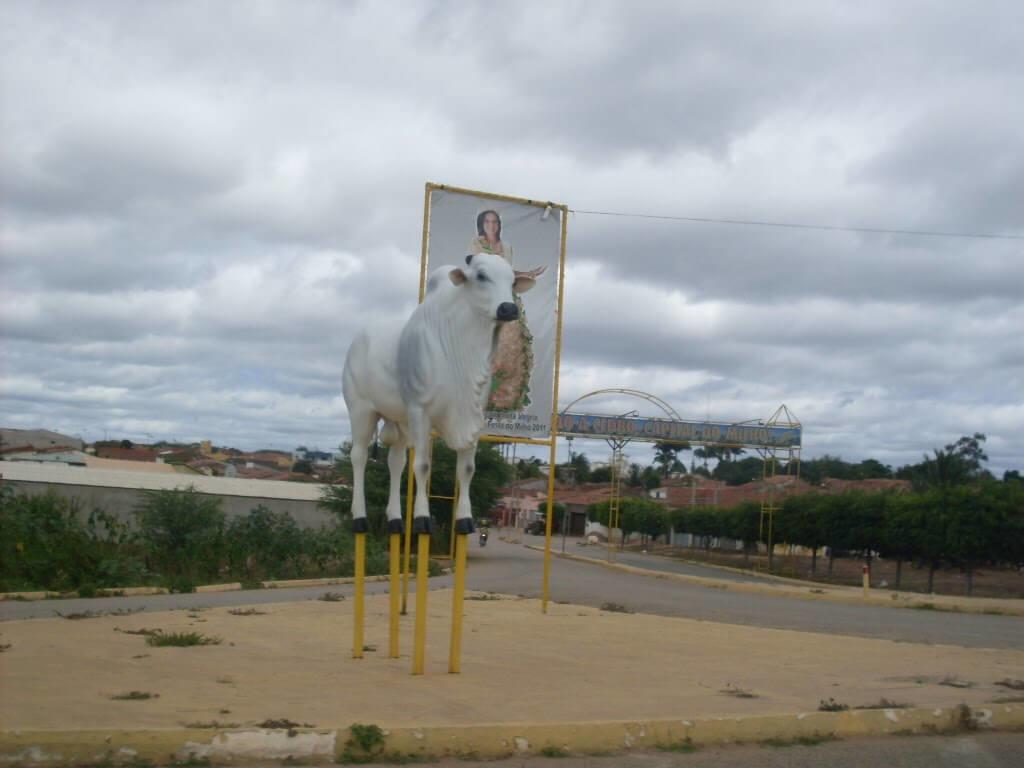 Registro de Marca Cedro