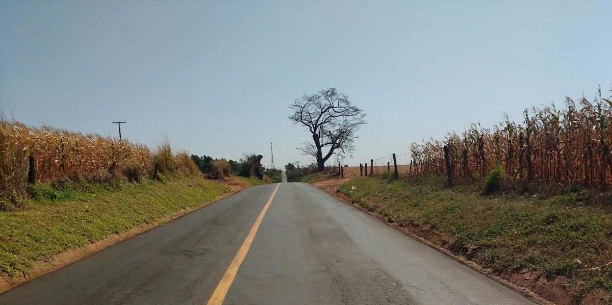 Registro de Marca Centenário do Sul