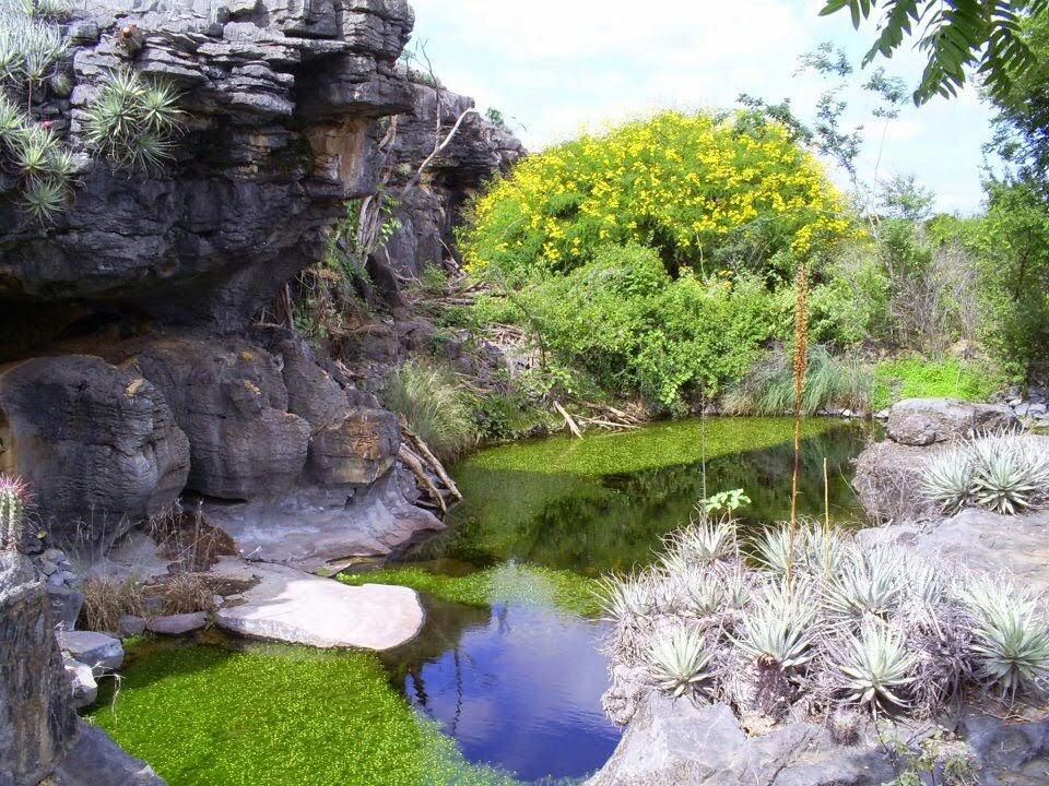 Registro de Marca Central