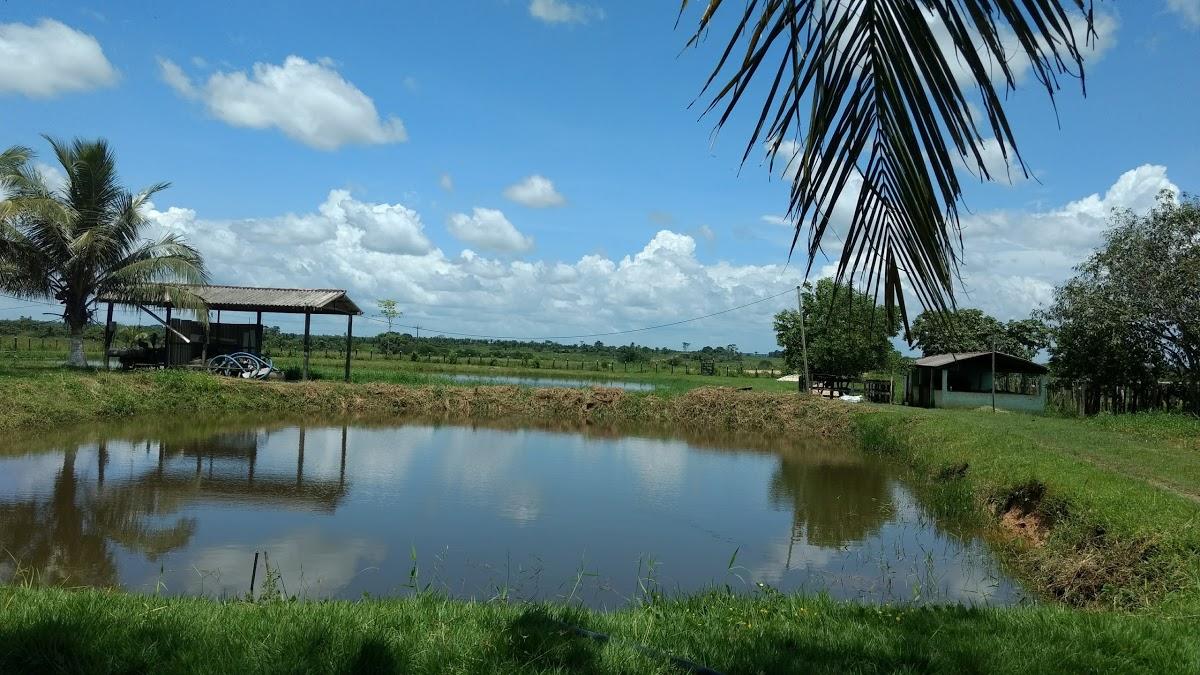 Registro de Marca Centro Novo do Maranhão
