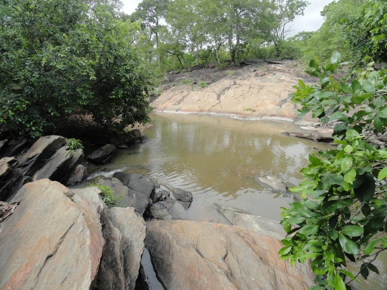 Registro de Marca Chapada da Natividade
