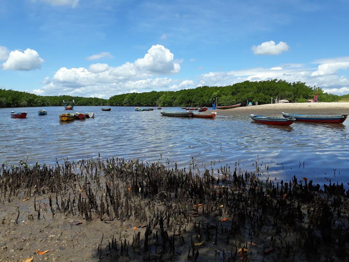 Registro de Marca Chaval