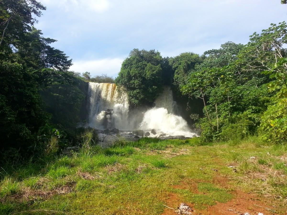 Registro de Marca Chupinguaia