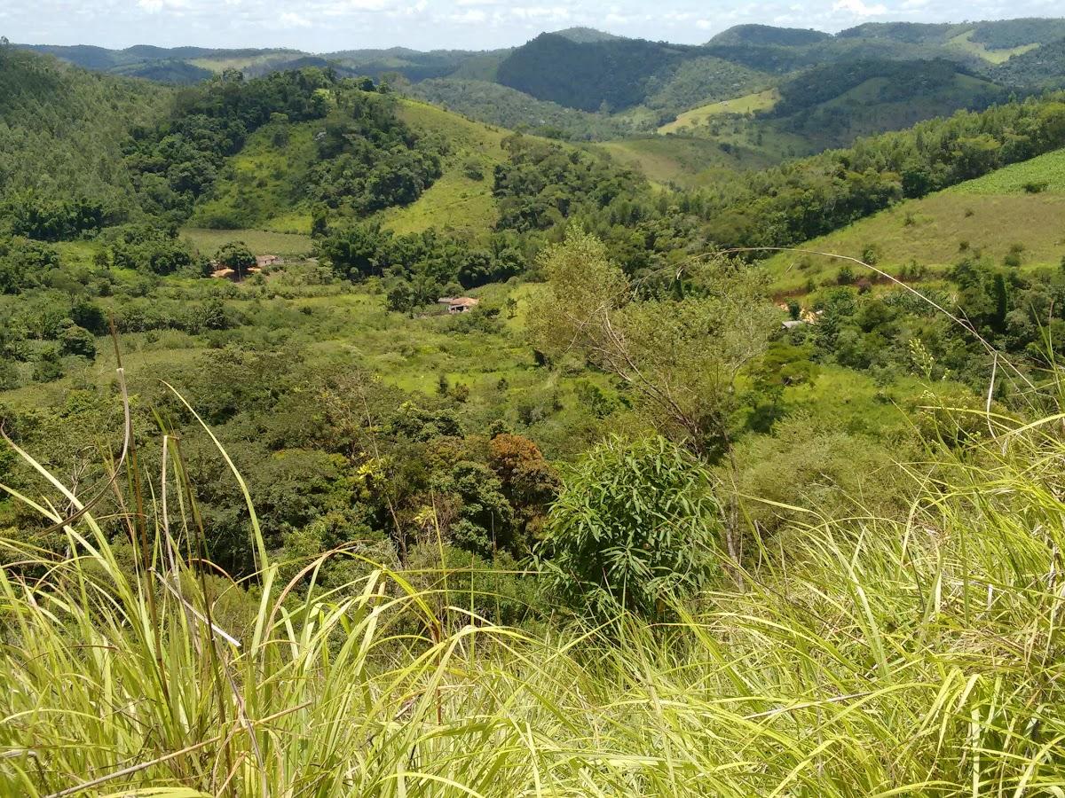 Registro de Marca Cipotânea