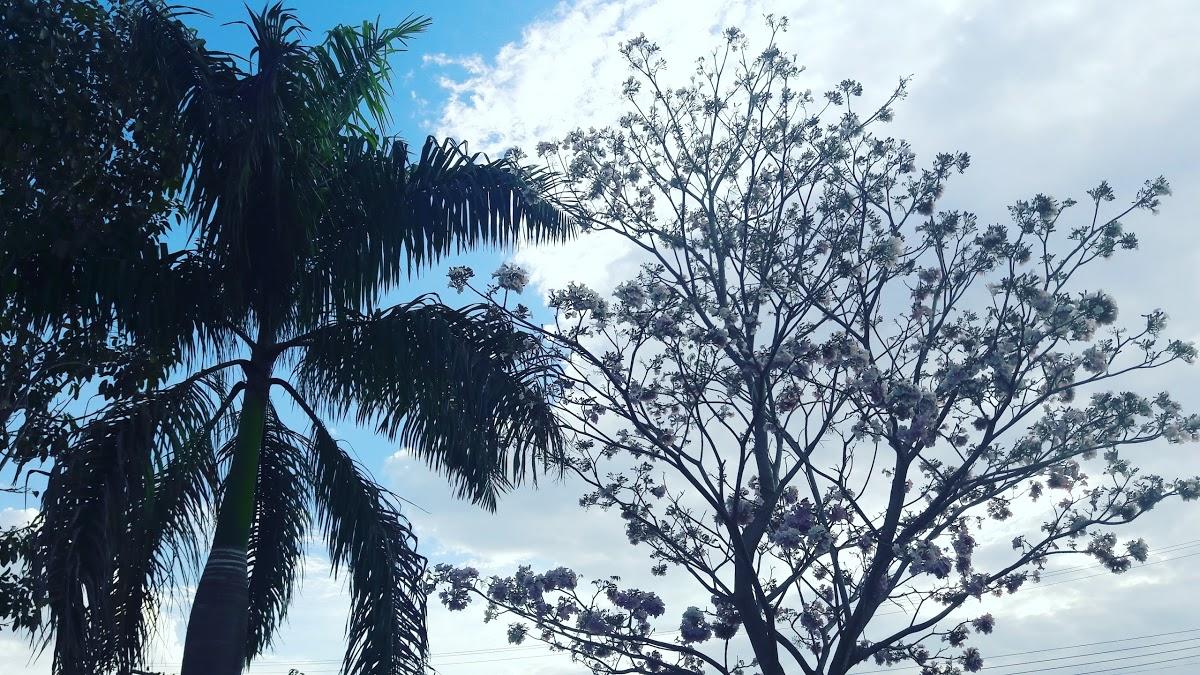 Registro de Marca Cláudia