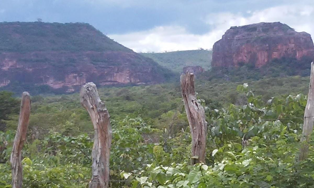 Registro de Marca Colônia do Gurguéia