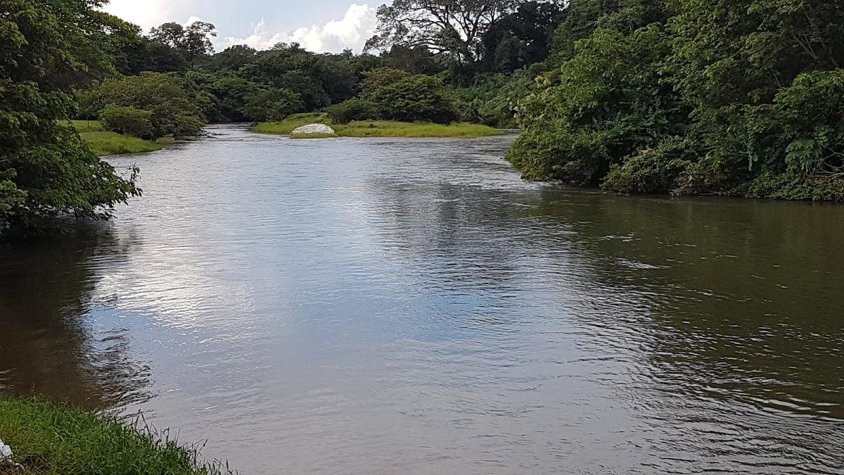 Registro de Marca Combinado