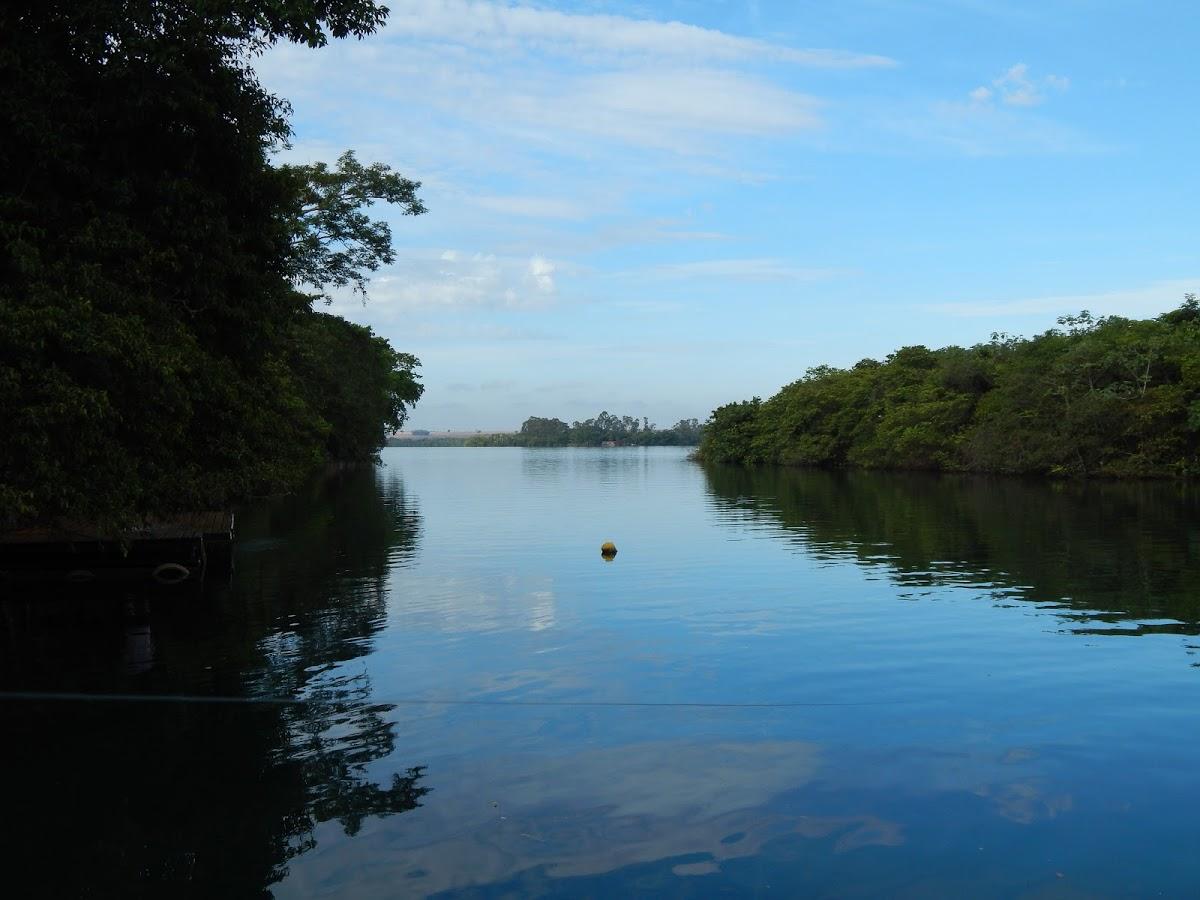 Registro de Marca Conceição das Alagoas