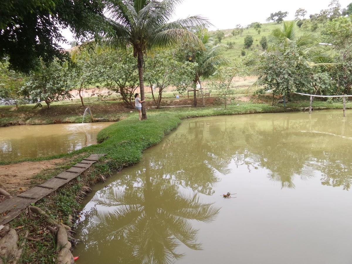 Registro de Marca Conceição de Ipanema