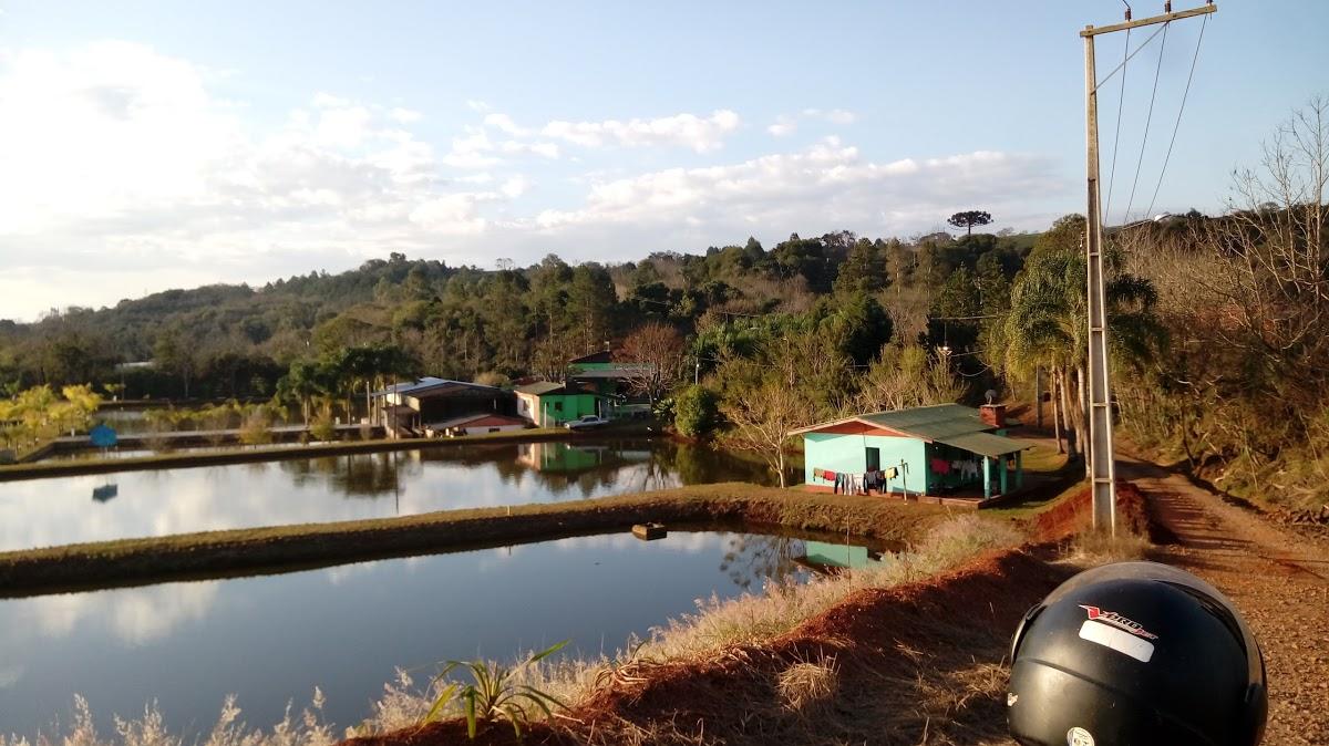 Registro de Marca Condor