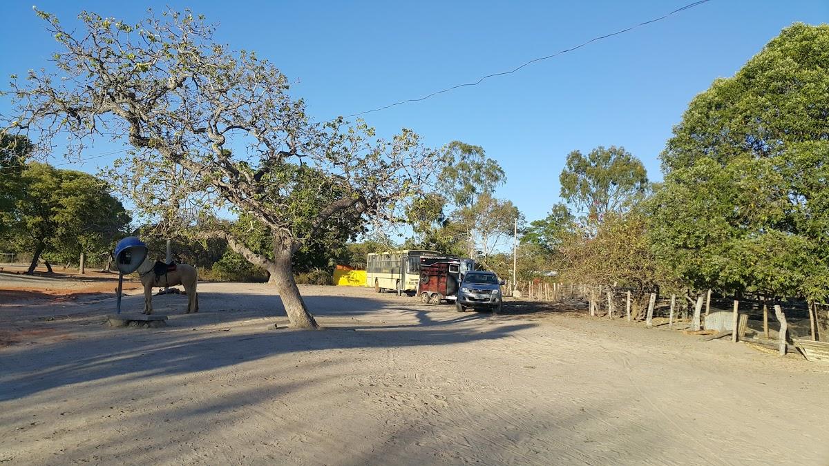 Registro de Marca Cônego Marinho