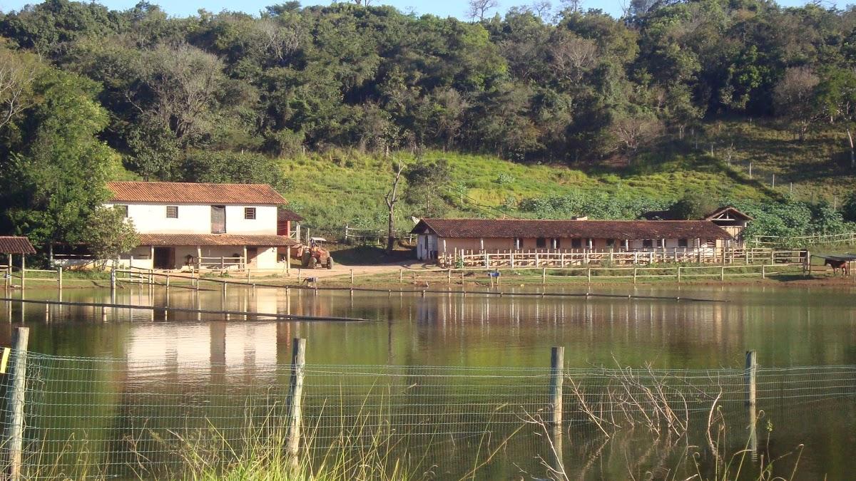 Registro de Marca Confins