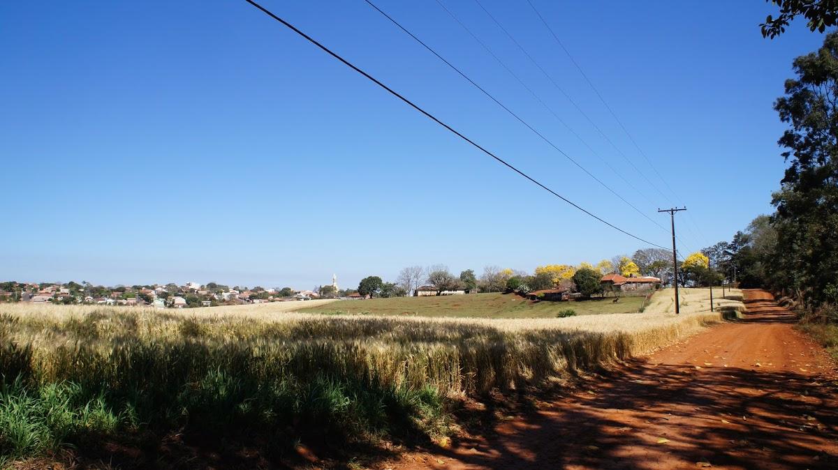 Registro de Marca Congonhinhas