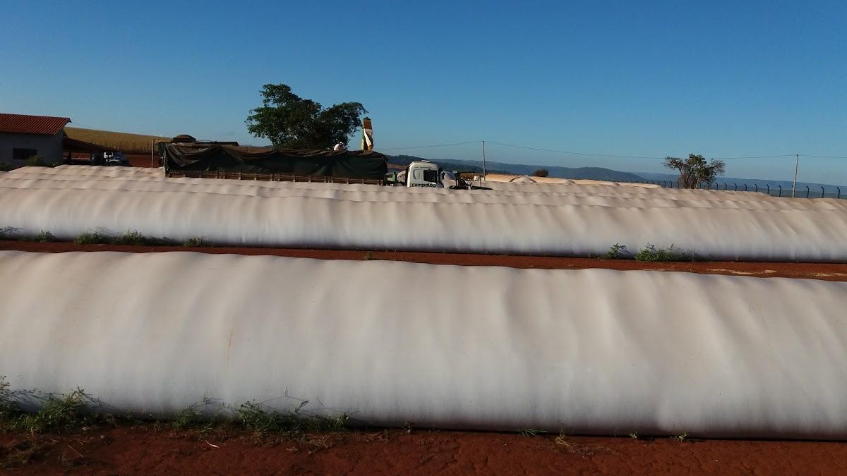 Registro de Marca Conquista