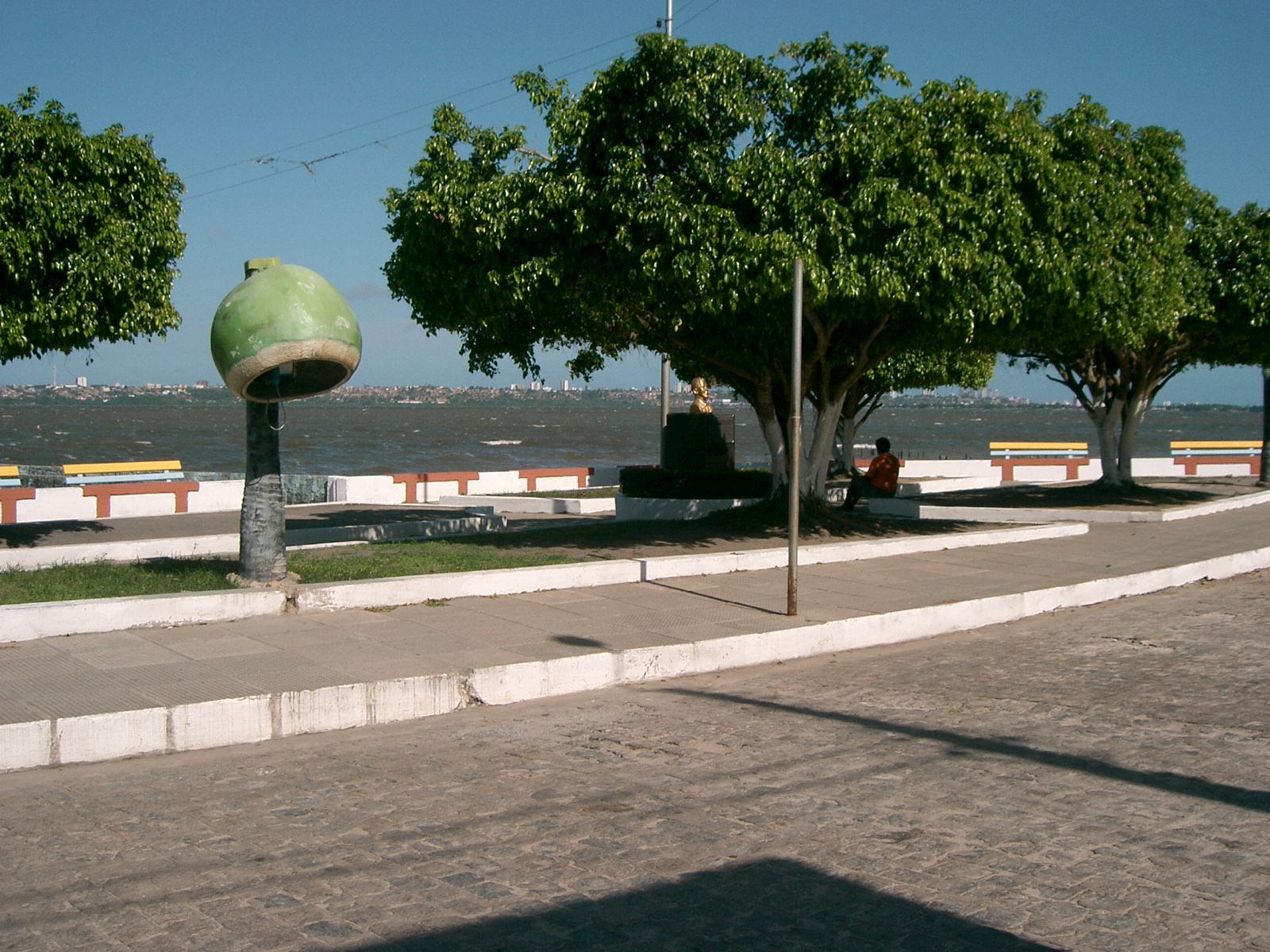 Registro de Marca Coqueiro Seco