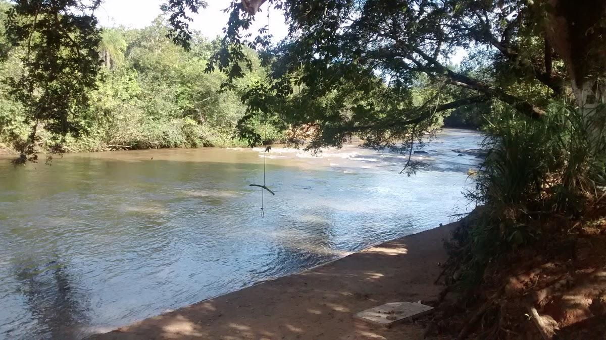 Registro de Marca Corguinho