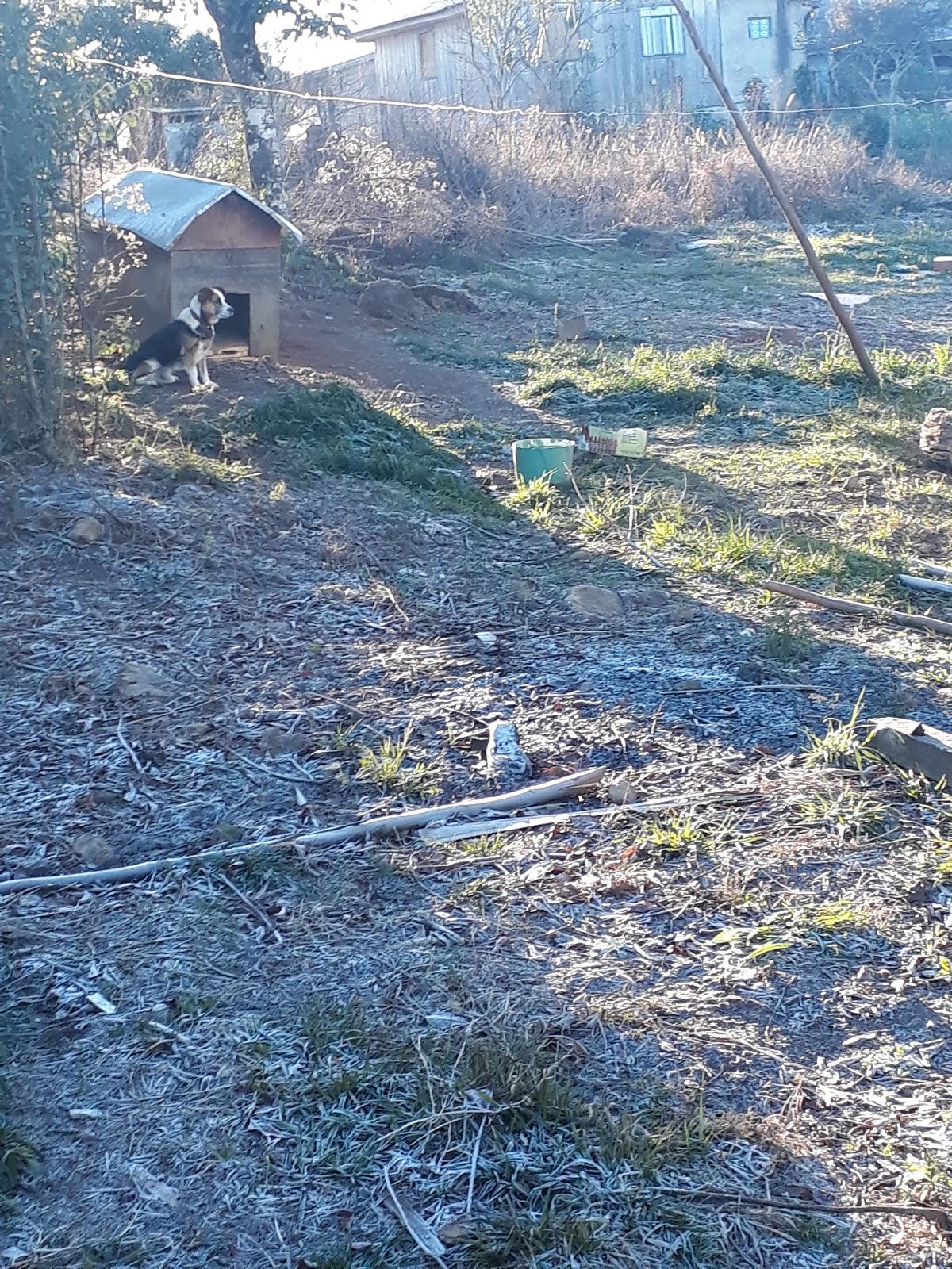 Registro de Marca Coronel Domingos Soares