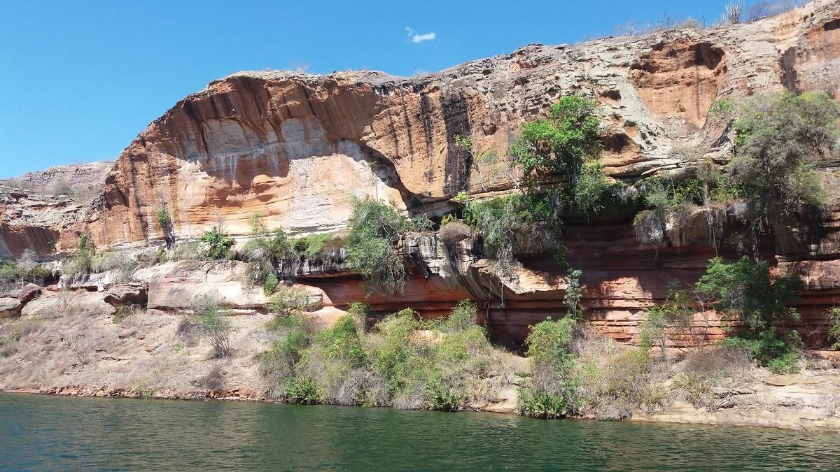 Registro de Marca Coronel João Sá