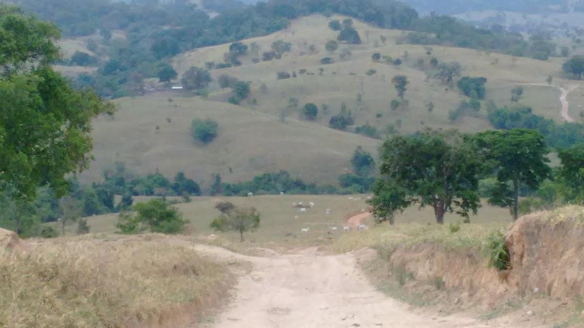 Registro de Marca Córrego do Ouro