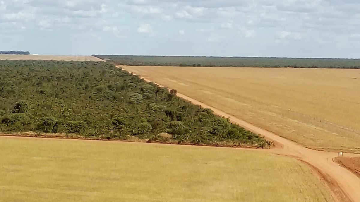 Registro de Marca Corrente
