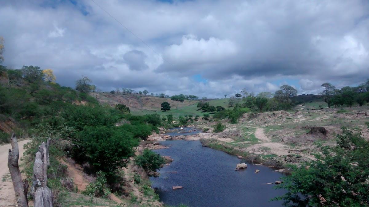 Registro de Marca Correntes