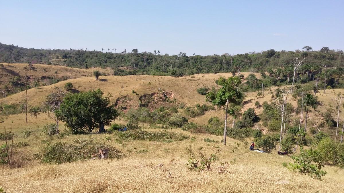 Registro de Marca Corumbiara