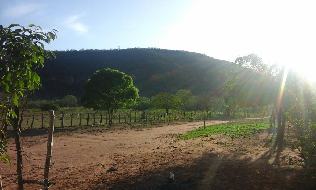 Registro de Marca Cristino Castro