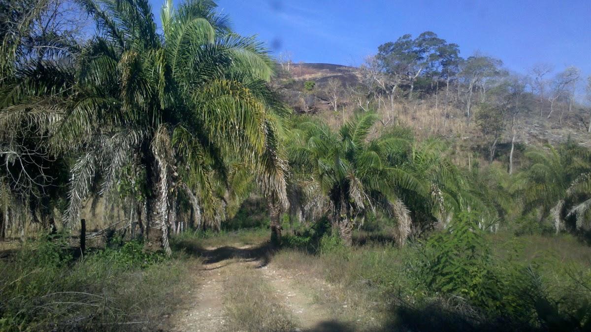 Registro de Marca Crixás