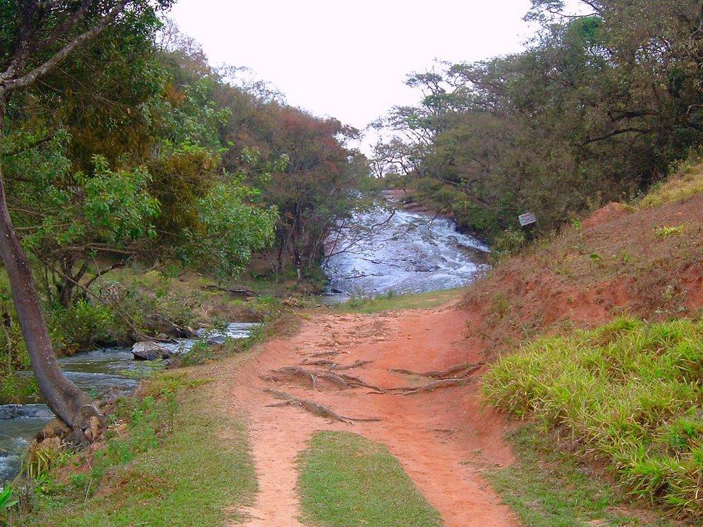 Registro de Marca Crucilândia