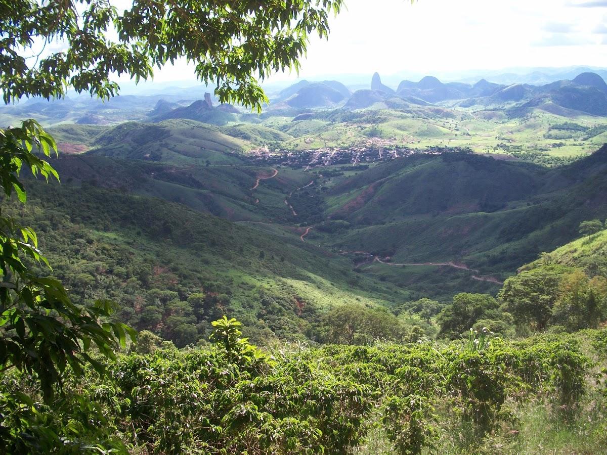 Registro de Marca Cuparaque