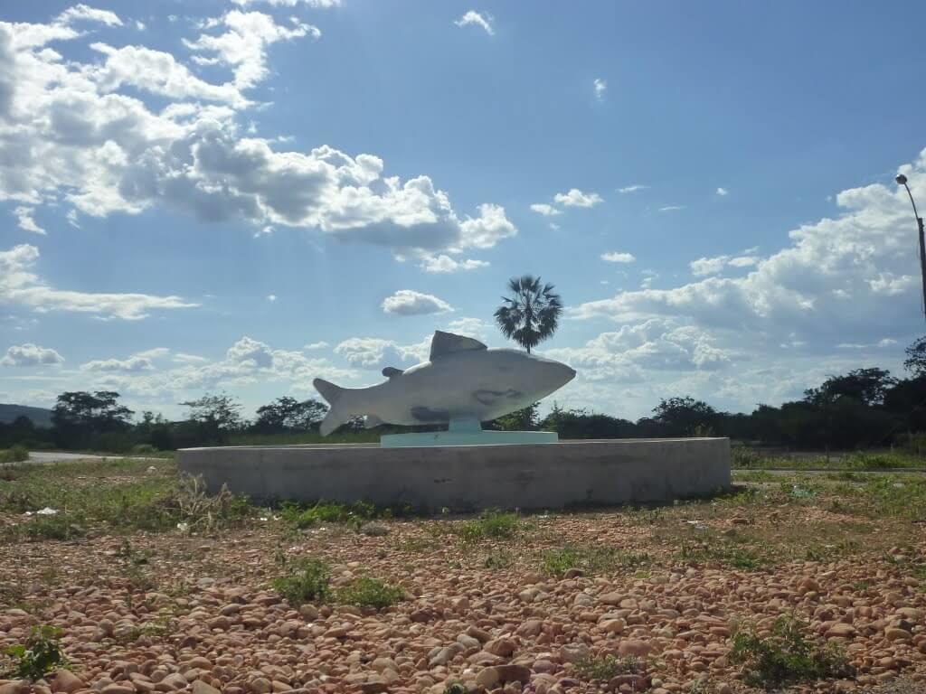 Registro de Marca Curimatá