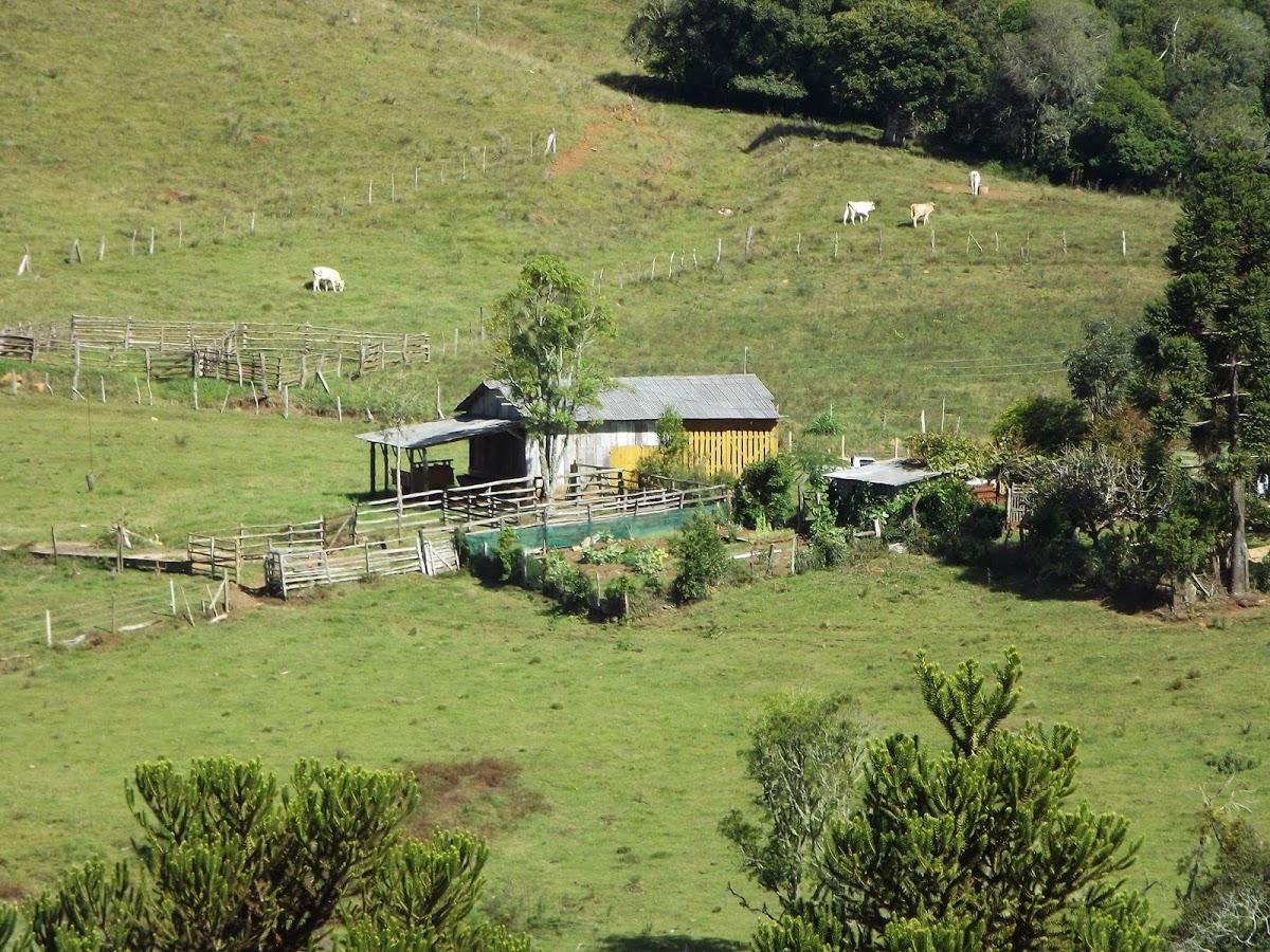 Registro de Marca Curitibanos