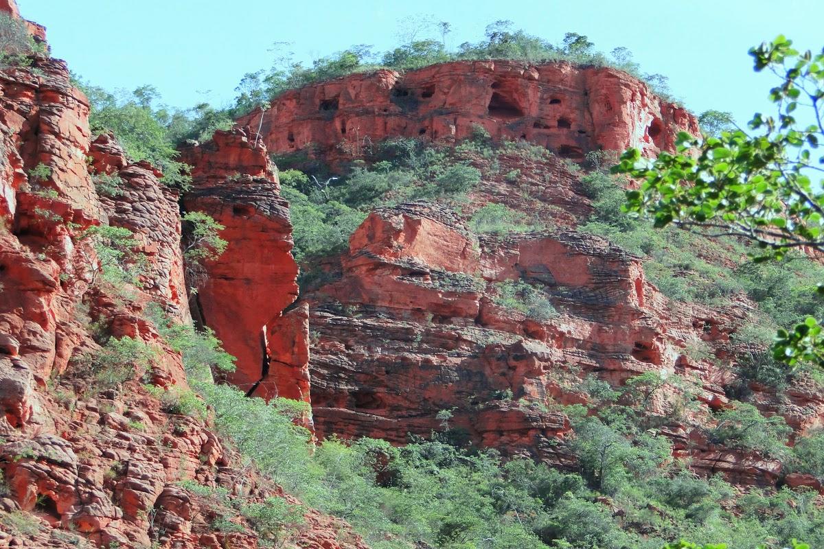 Registro de Marca Currais