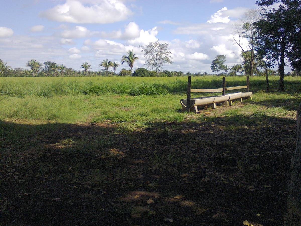 Registro de Marca Curvelândia