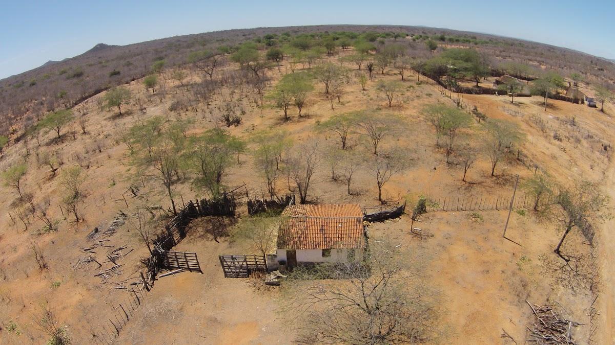 Registro de Marca Custódia