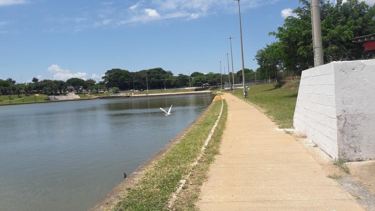 Registro de Marca Damianópolis