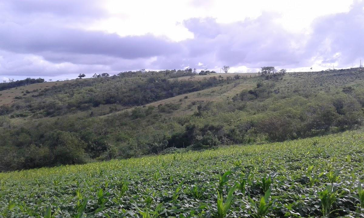 Registro de Marca Damião