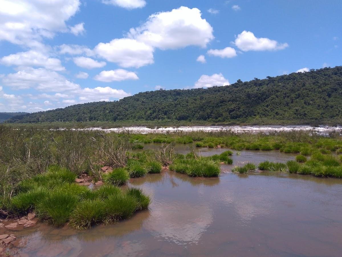 Registro de Marca Derrubadas