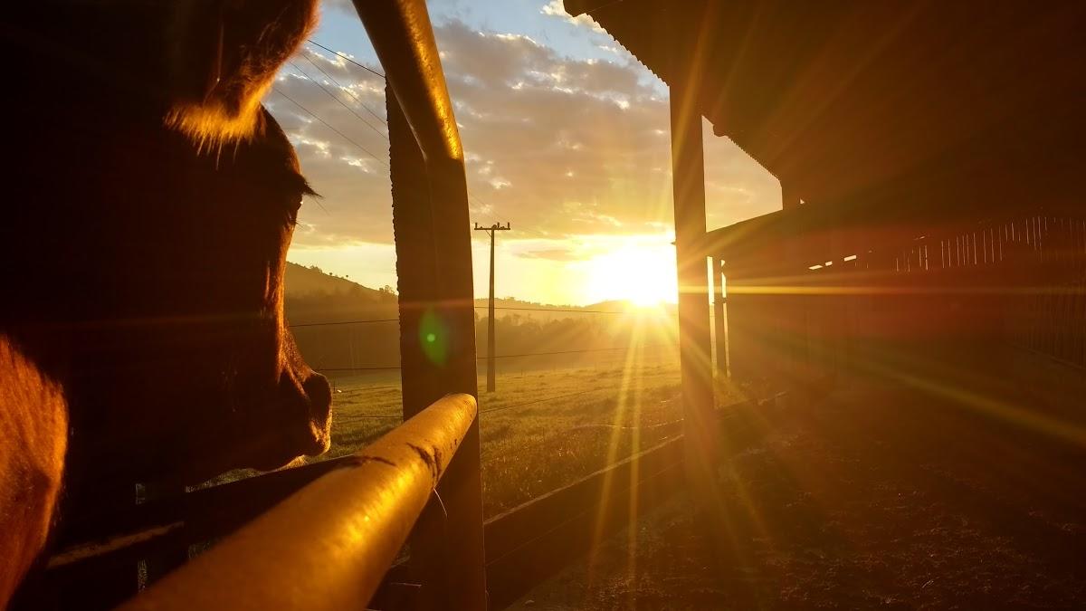 Registro de Marca Descanso