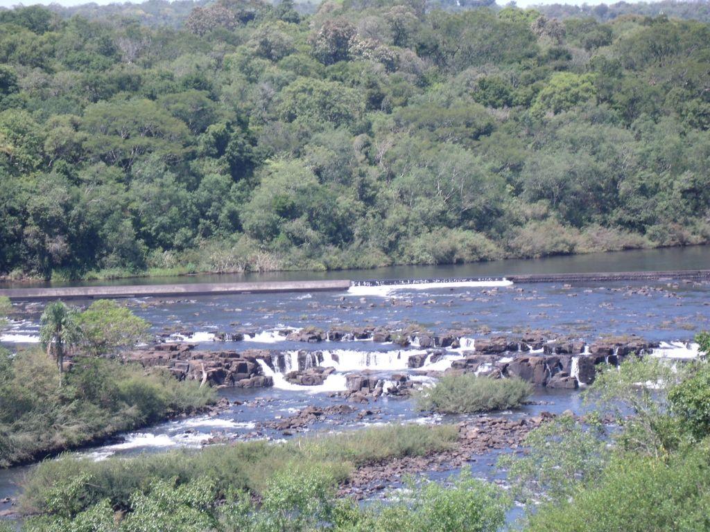 Registro de Marca Dezesseis de Novembro