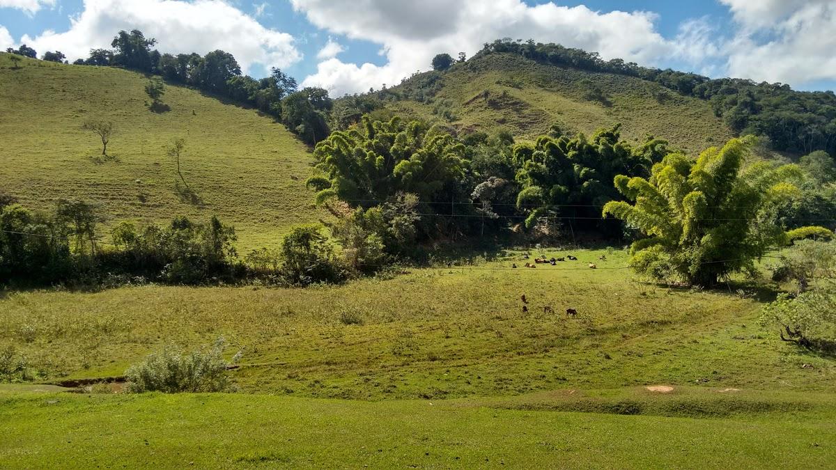Registro de Marca Diogo de Vasconcelos