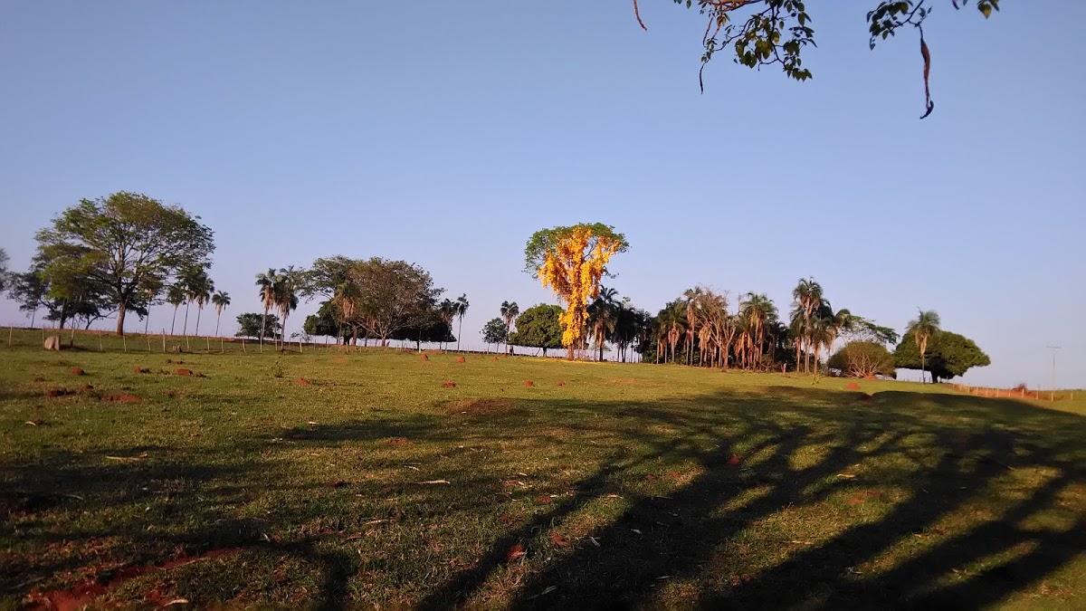 Registro de Marca Dirce Reis