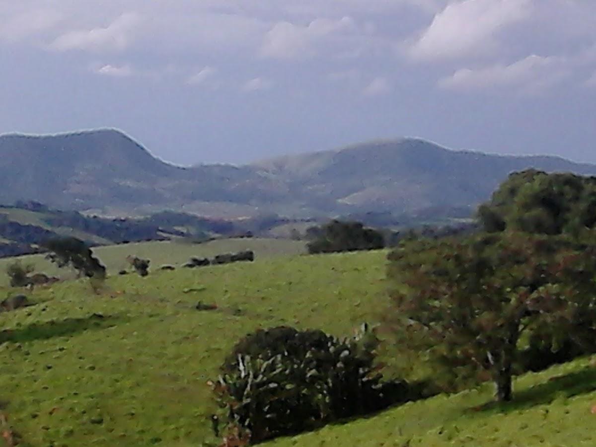 Registro de Marca Divisa Nova