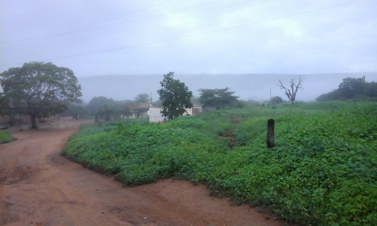 Registro de Marca Dom Expedito Lopes