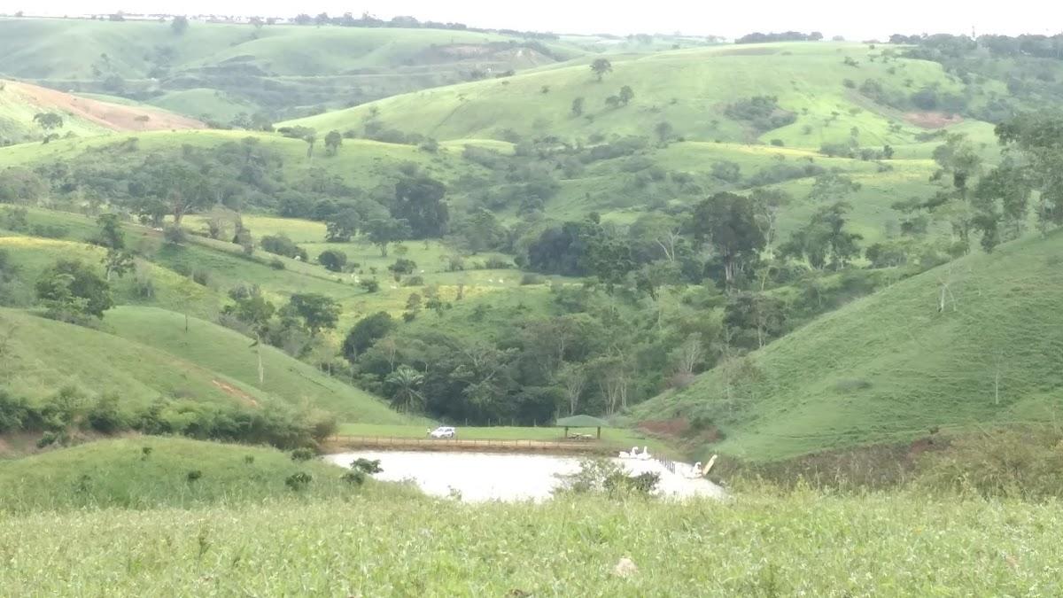 Registro de Marca Dom Macedo Costa