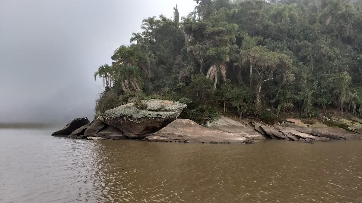 Registro de Marca Dom Pedro de Alcântara