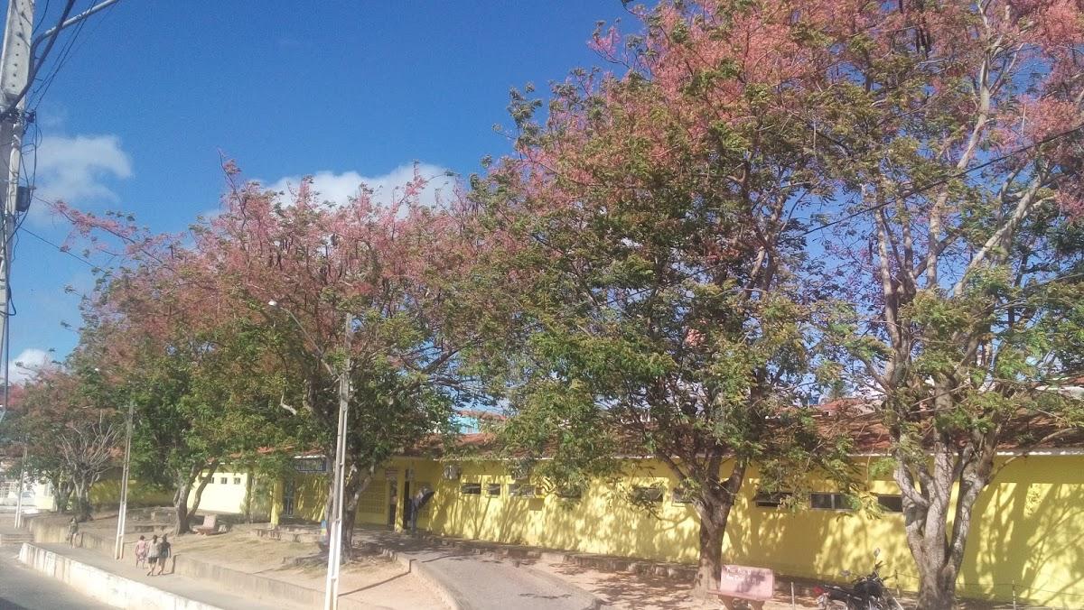 Registro de Marca Dona Inês